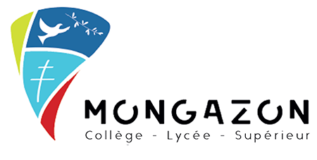 logo-Mgz